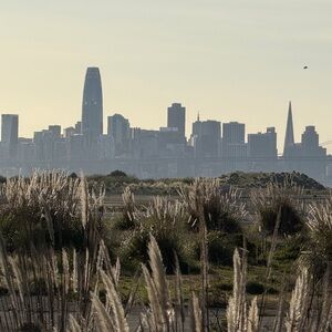 Meet your Posher, Jade